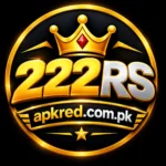 222rs Game